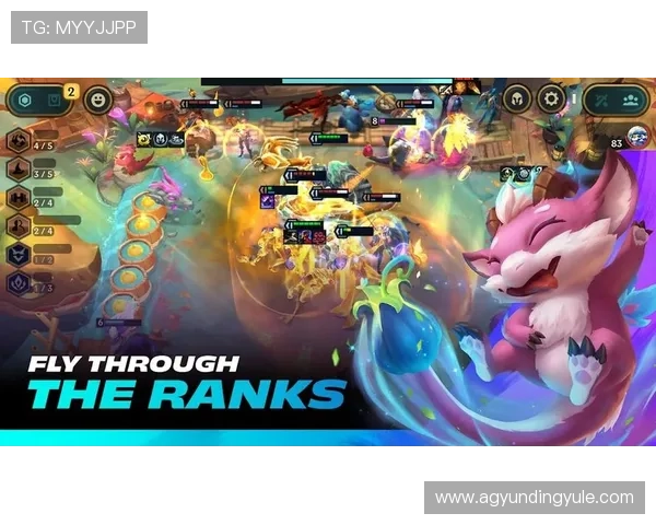 datatft云顶官网入口全面指南助你快速访问官方网站